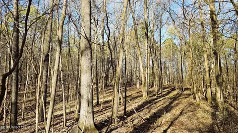 Campbell Rd, Lexington, MS 39095 photo 40