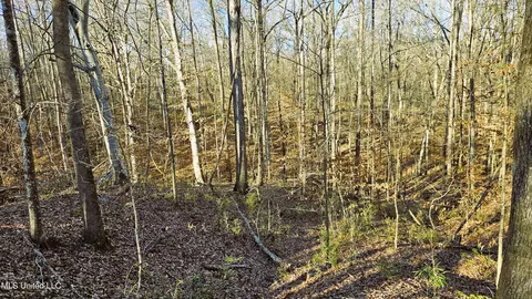 Campbell Rd, Lexington, MS 39095 photo 26