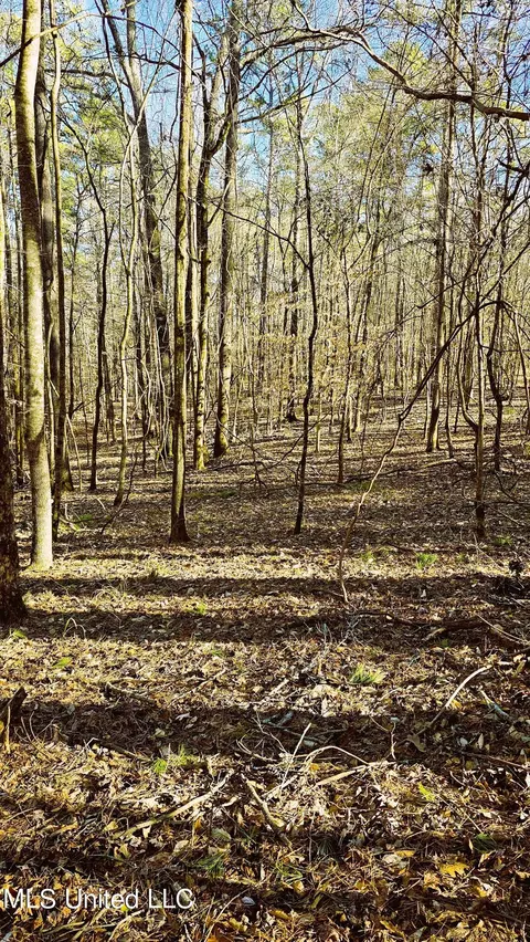 Campbell Rd, Lexington, MS 39095 photo 8