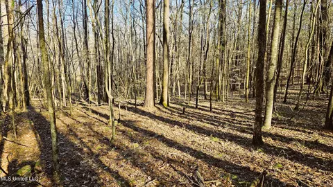 Campbell Rd, Lexington, MS 39095 photo 7