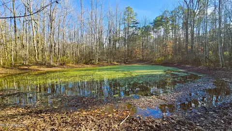 Campbell Rd, Lexington, MS 39095 photo 13