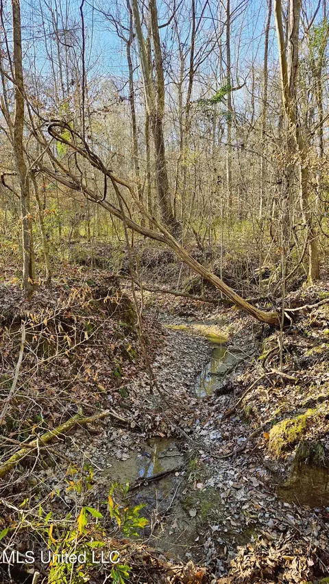Campbell Rd, Lexington, MS 39095 photo 17