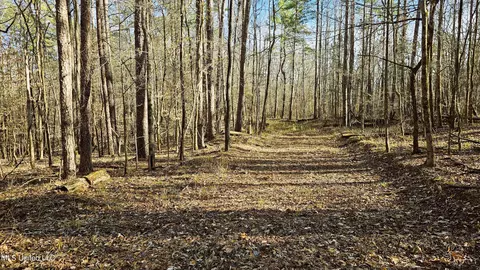 Campbell Rd, Lexington, MS 39095 photo 6