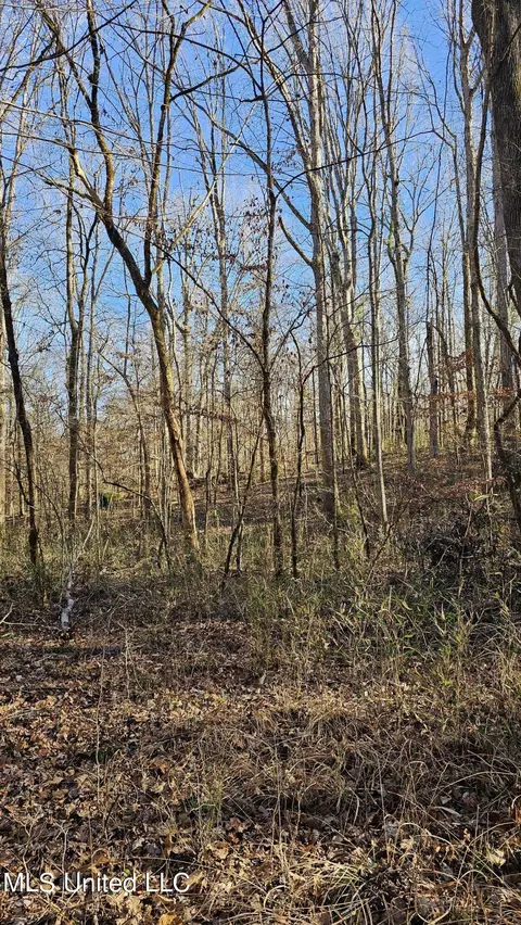 Campbell Rd, Lexington, MS 39095 photo 19