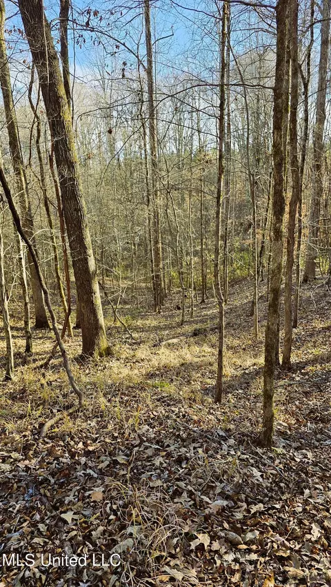 Campbell Rd, Lexington, MS 39095 photo 28