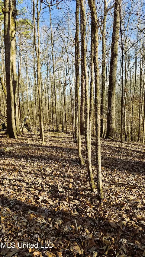 Campbell Rd, Lexington, MS 39095 photo 24