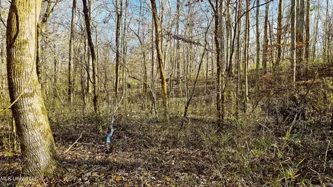 Campbell Rd, Lexington, MS 39095 photo 14