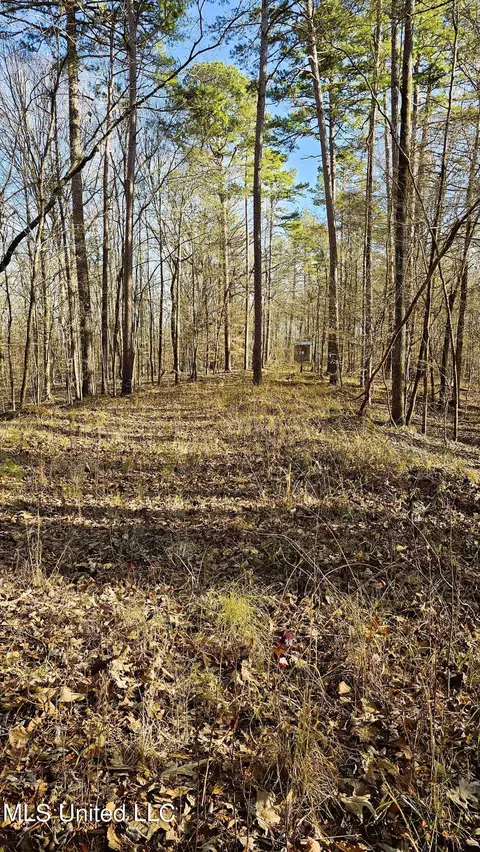 Campbell Rd, Lexington, MS 39095 photo 46
