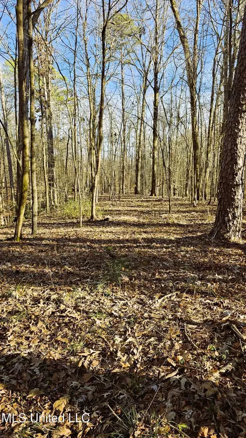 Campbell Rd, Lexington, MS 39095 photo 22