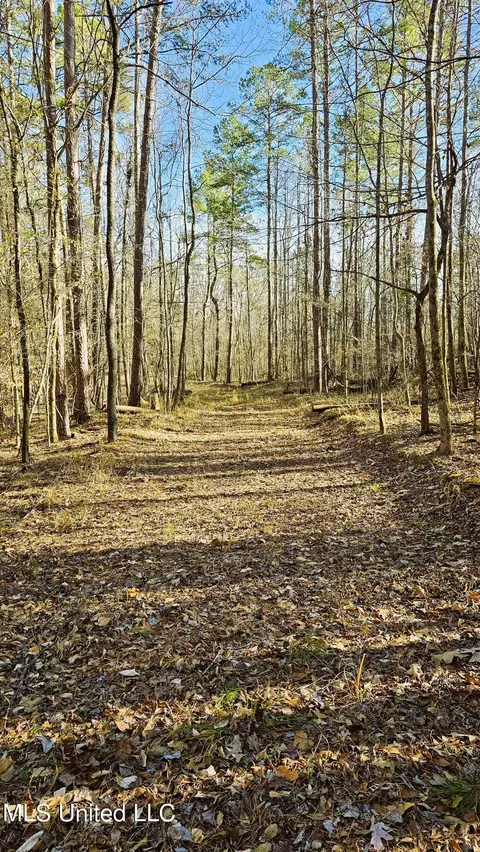 Campbell Rd, Lexington, MS 39095 photo 5
