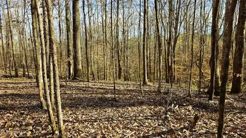 Campbell Rd, Lexington, MS 39095 photo 23