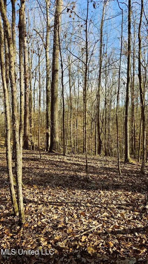 Campbell Rd, Lexington, MS 39095 photo 25