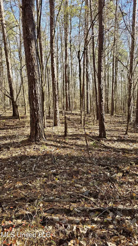 Campbell Rd, Lexington, MS 39095 photo 3