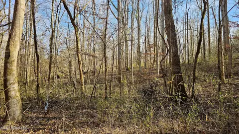 Campbell Rd, Lexington, MS 39095 photo 18