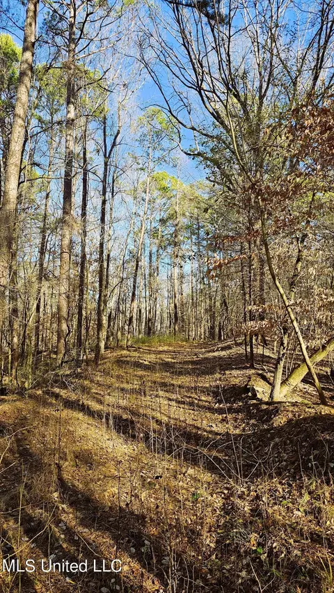 Campbell Rd, Lexington, MS 39095 photo 2
