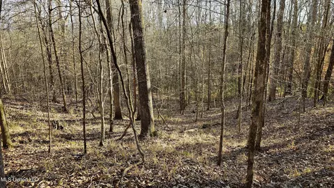 Campbell Rd, Lexington, MS 39095 photo 29