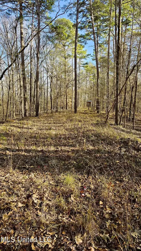 Campbell Rd, Lexington, MS 39095