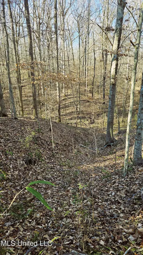 Campbell Rd, Lexington, MS 39095 photo 30