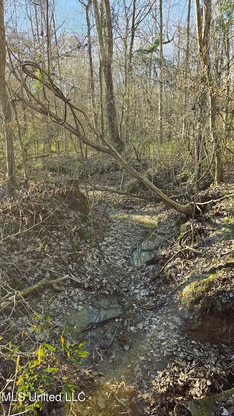 Campbell Rd, Lexington, MS 39095 photo 15