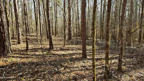 Campbell Rd, Lexington, MS 39095 photo 4