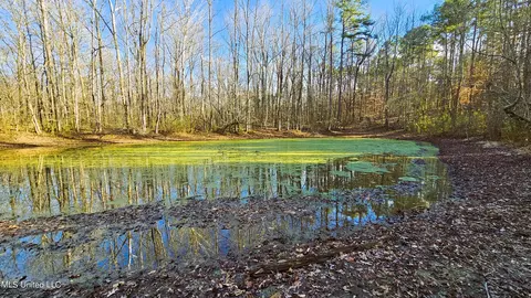 Campbell Rd, Lexington, MS 39095 photo 11