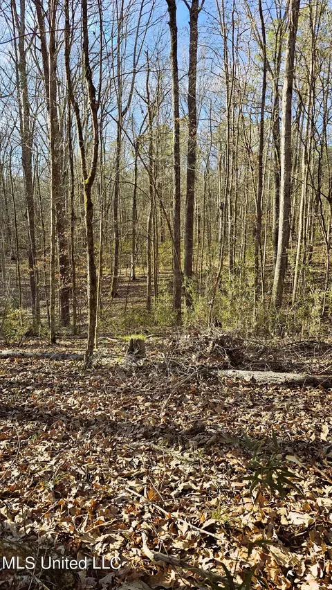 Campbell Rd, Lexington, MS 39095 photo 41