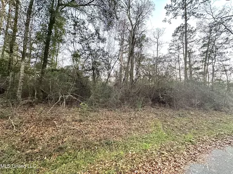 Nhn Biloxi Dr, Lucedale, MS 39452