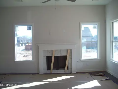9667 Crape Myrtle Dr, Olive Branch, MS 38654 photo 4