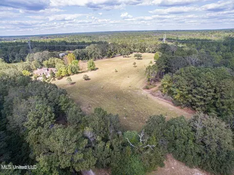 Esther Road, Saucier, MS 39574 photo 3