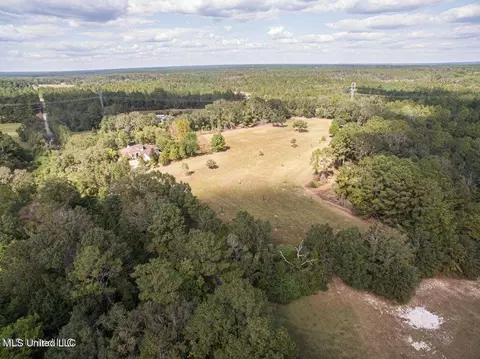 Esther Road, Saucier, MS 39574 photo 4