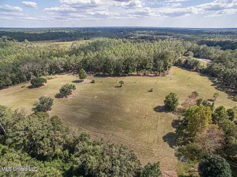 Esther Road, Saucier, MS 39574 photo 9