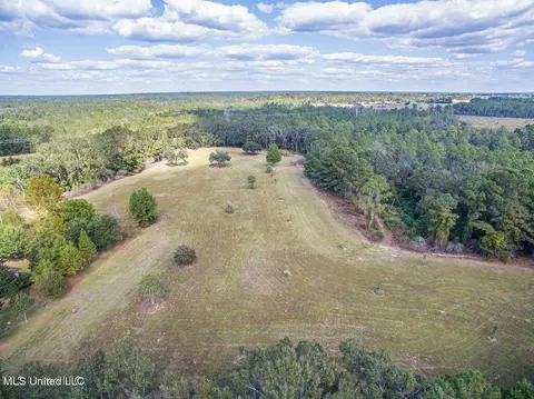 Esther Road, Saucier, MS 39574 photo 2