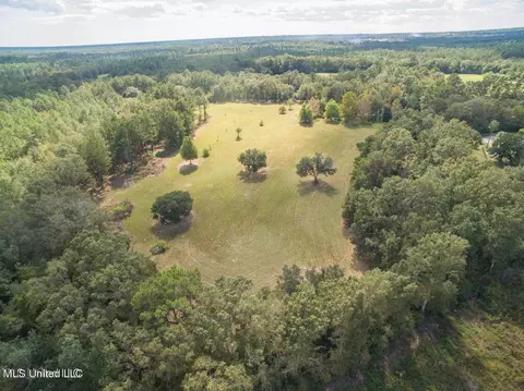 Esther Road, Saucier, MS 39574 photo 8