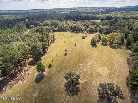 Esther Road, Saucier, MS 39574 photo 7