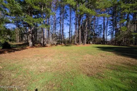 111 Shadia Dr, Clinton, MS 39056 photo 45