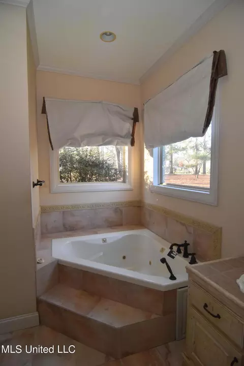 51 Calumet Ct, Madison, MS 39110 photo 37