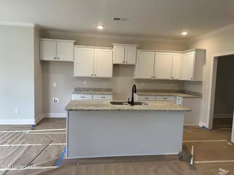 Other - 4977 Witt Cv, Olive Branch, MS 38654 photo 2 of 7