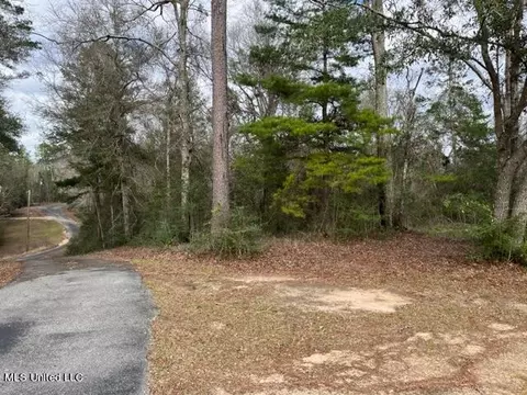 Tba Faulkner Road, Lucedale, MS 39452 photo 2