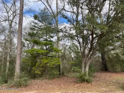 Tba Faulkner Road, Lucedale, MS 39452