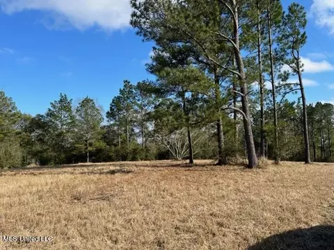 Tba Southern Hills Drive, Lucedale, MS 39452 photo 3