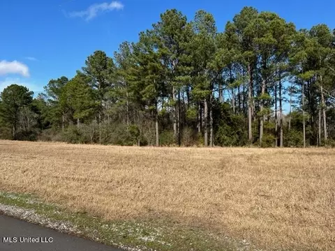 Tba Southern Hills Drive, Lucedale, MS 39452 photo 2