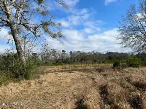 Tba Old Mobile Highway, Lucedale, MS 39452