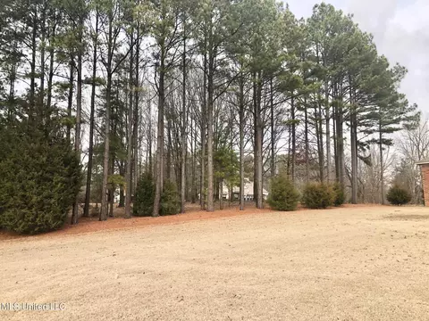 2765 Scott Rd, Hernando, MS 38632 photo 20