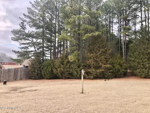 2765 Scott Rd, Hernando, MS 38632 photo 19