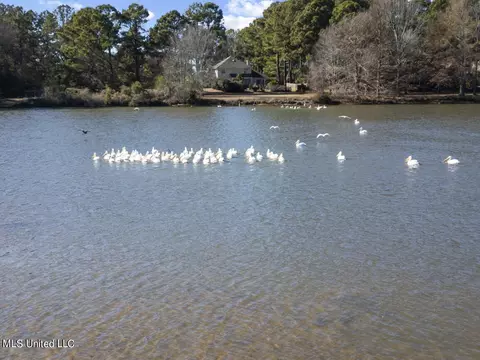 150 Trails End, Flora, MS 39071 photo 12