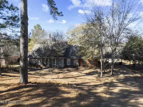 150 Trails End, Flora, MS 39071 photo 3