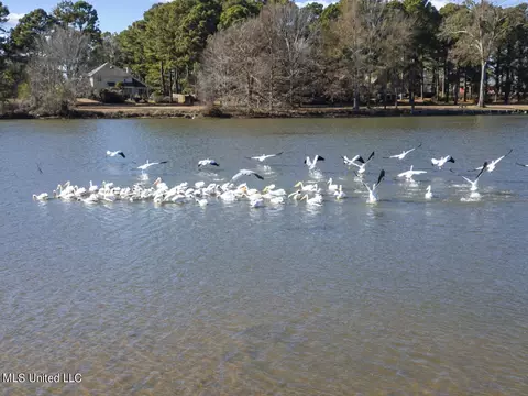 150 Trails End, Flora, MS 39071 photo 11