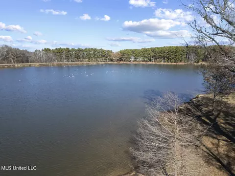 150 Trails End, Flora, MS 39071 photo 51