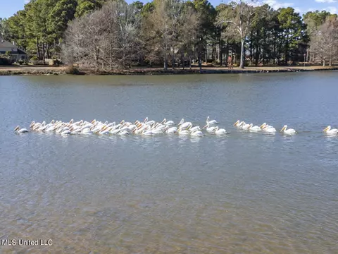 150 Trails End, Flora, MS 39071 photo 10