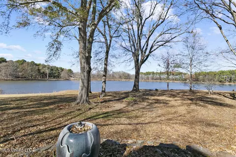 150 Trails End, Flora, MS 39071 photo 45